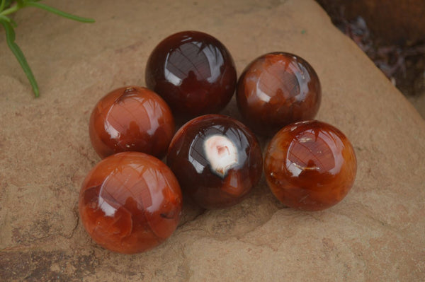 Polished Red Carnelian Agate Spheres  - Sold per 1 kg (6 per tray) - From Madagascar - Toprock Gemstones and Minerals 