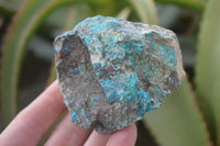 Natural Rough Shattuckite Cobbed Specimens x 12 From Kaokoveld, Namibia - Toprock Gemstones and Minerals