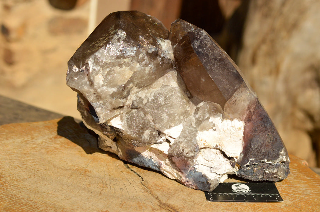Natural Extra Large Self Healed Smokey Quartz Crystal Cluster x 1 From Mt. Mulanje, Malawi - TopRock
