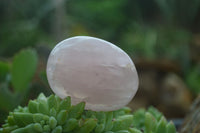 Polished Gemmy Pink Rose Quartz Palm Stones  x 20 From Madagascar - Toprock Gemstones and Minerals