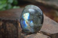 Polished Flashy Labradorite Palm Stones  x 12 From Tulear, Madagascar - Toprock Gemstones and Minerals