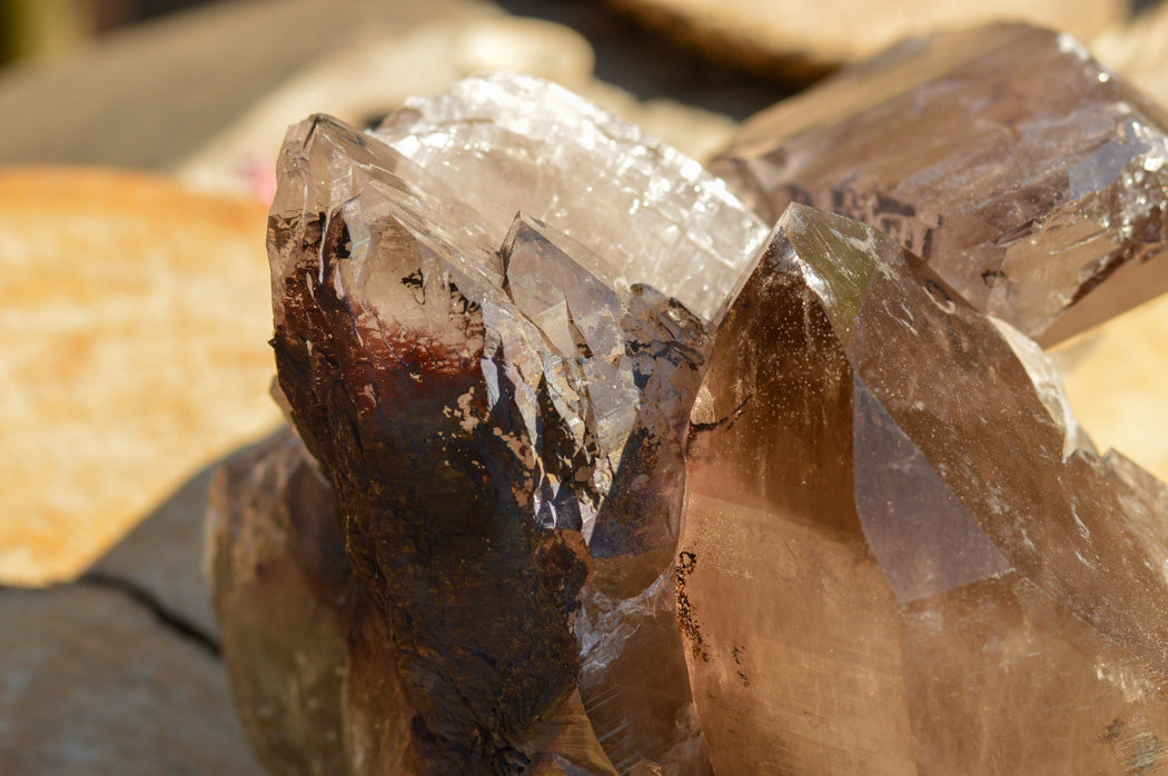 Natural Extra Large Self Healed Smokey Quartz Crystal Cluster x 1 From Mt. Mulanje, Malawi - TopRock