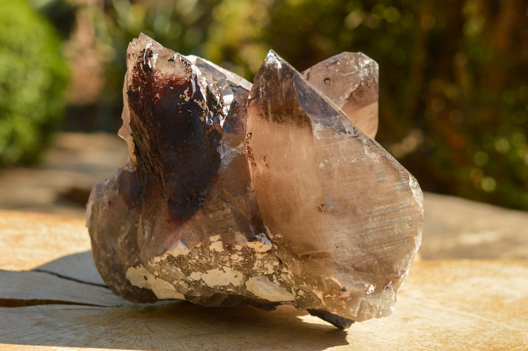 Natural Extra Large Self Healed Smokey Quartz Crystal Cluster x 1 From Mt. Mulanje, Malawi - TopRock