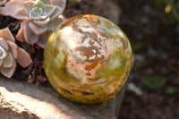 Polished Pair Of Green Opal Spheres  x 2 From Antsirabe, Madagascar - TopRock