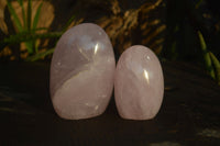 Polished Pink Rose Quartz Standing Free Forms x 6 From Antsirabe, Madagascar - Toprock Gemstones and Minerals