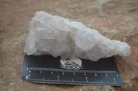 Natural White Cactus Flower Spirit Quartz Specimens  x 6 From Boekenhouthoek, South Africa - Toprock Gemstones and Minerals