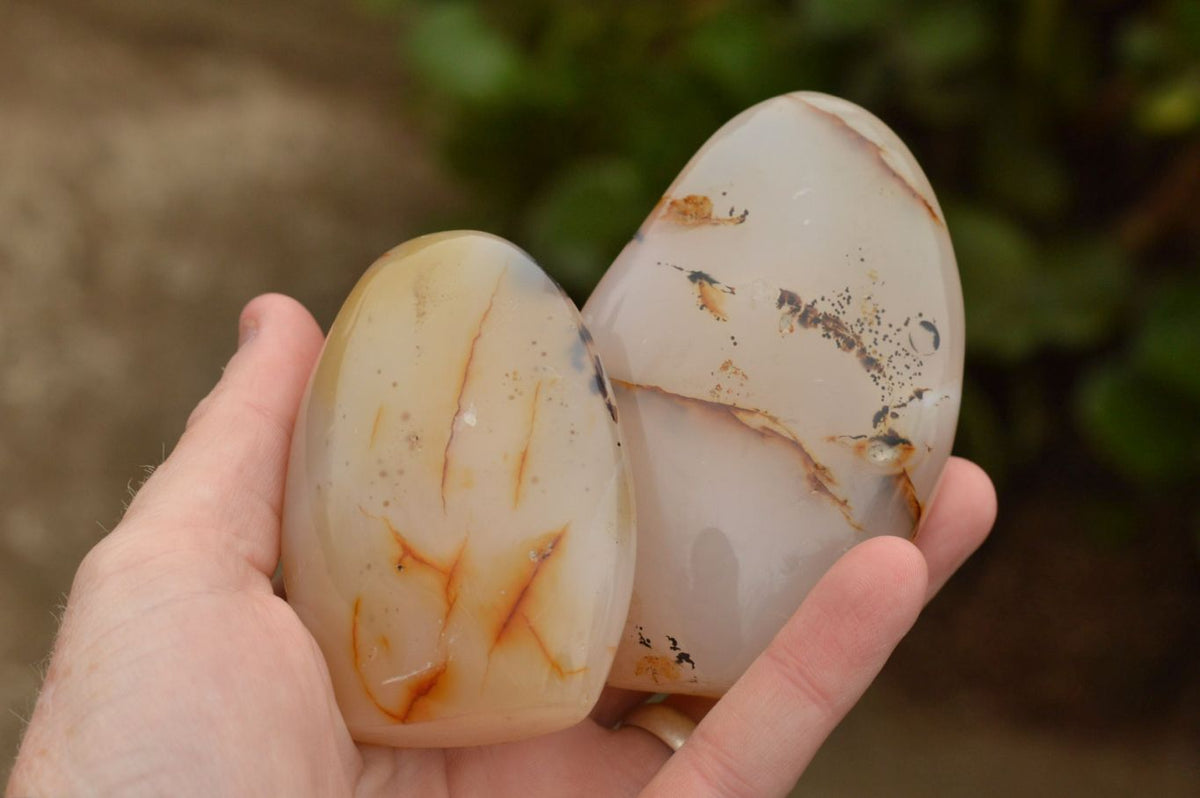 Polished Semi Translucent Dendritic Agate Standing Free Forms x 4 From Moralambo, Madagascar - TopRock