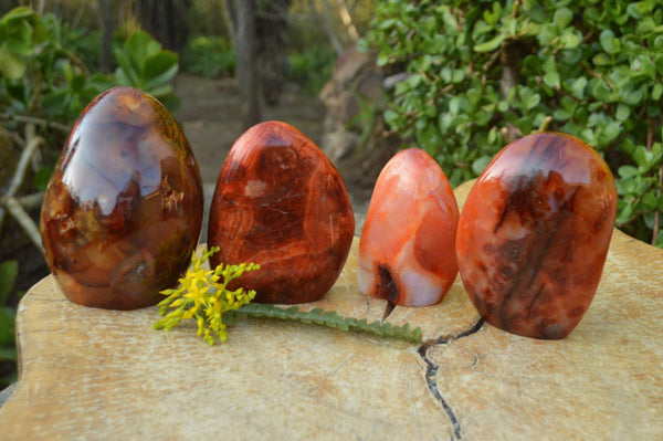 Polished Rich Carnelian Agate Standing Free Forms  x 4 From Madagascar - TopRock