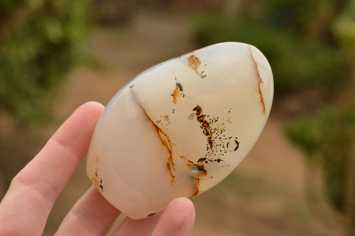 Polished Semi Translucent Dendritic Agate Standing Free Forms x 4 From Moralambo, Madagascar - TopRock