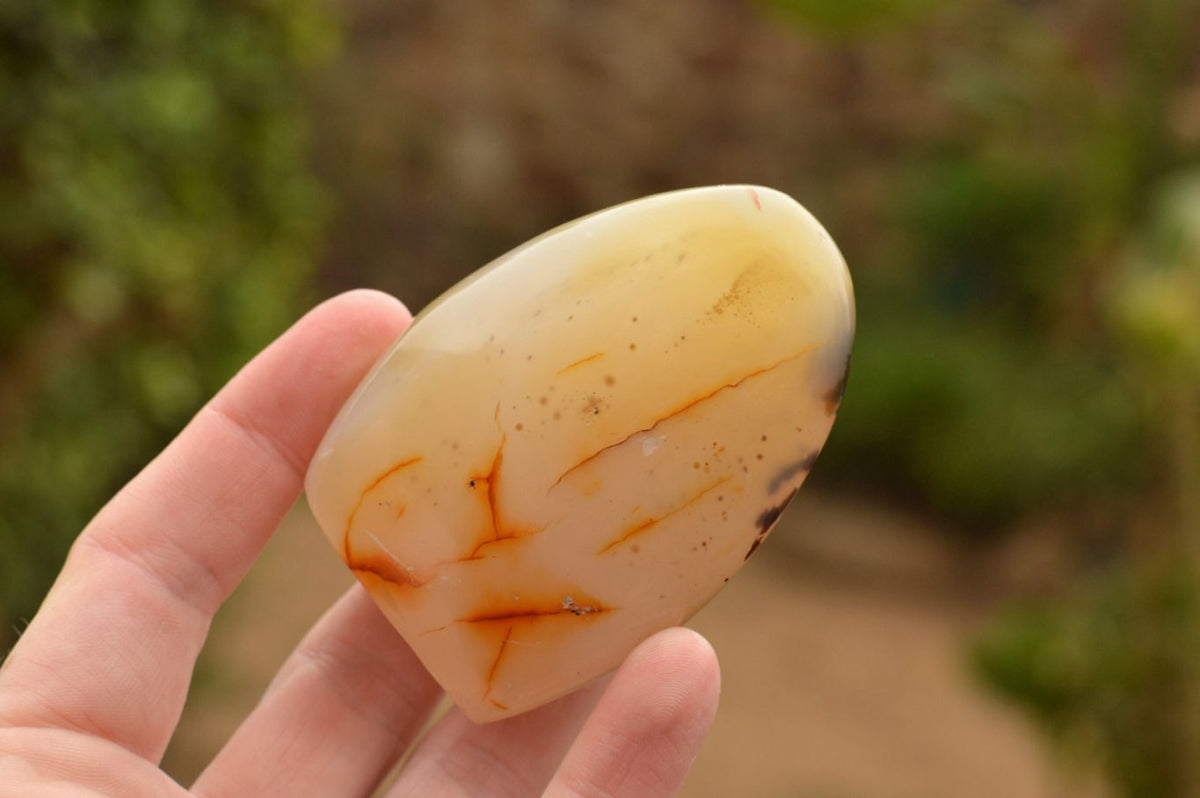 Polished Semi Translucent Dendritic Agate Standing Free Forms x 4 From Moralambo, Madagascar - TopRock