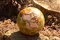 Polished Pair Of Green Opal Spheres  x 2 From Antsirabe, Madagascar - TopRock