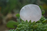 Polished Gemmy Pink Rose Quartz Palm Stones  x 20 From Madagascar - Toprock Gemstones and Minerals
