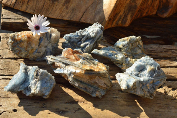 Natural Blue Kyanite Crystals In Schist Specimens  x 6 From Karoi, Zimbabwe - TopRock