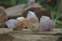 Natural Rare Spirit Ametrine Quartz Crystals  x 35 From Boekenhouthoek, South Africa - Toprock Gemstones and Minerals