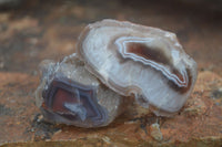 Polished Red River Agate Nodules  x 13 From Sashe River, Zimbabwe - Toprock Gemstones and Minerals