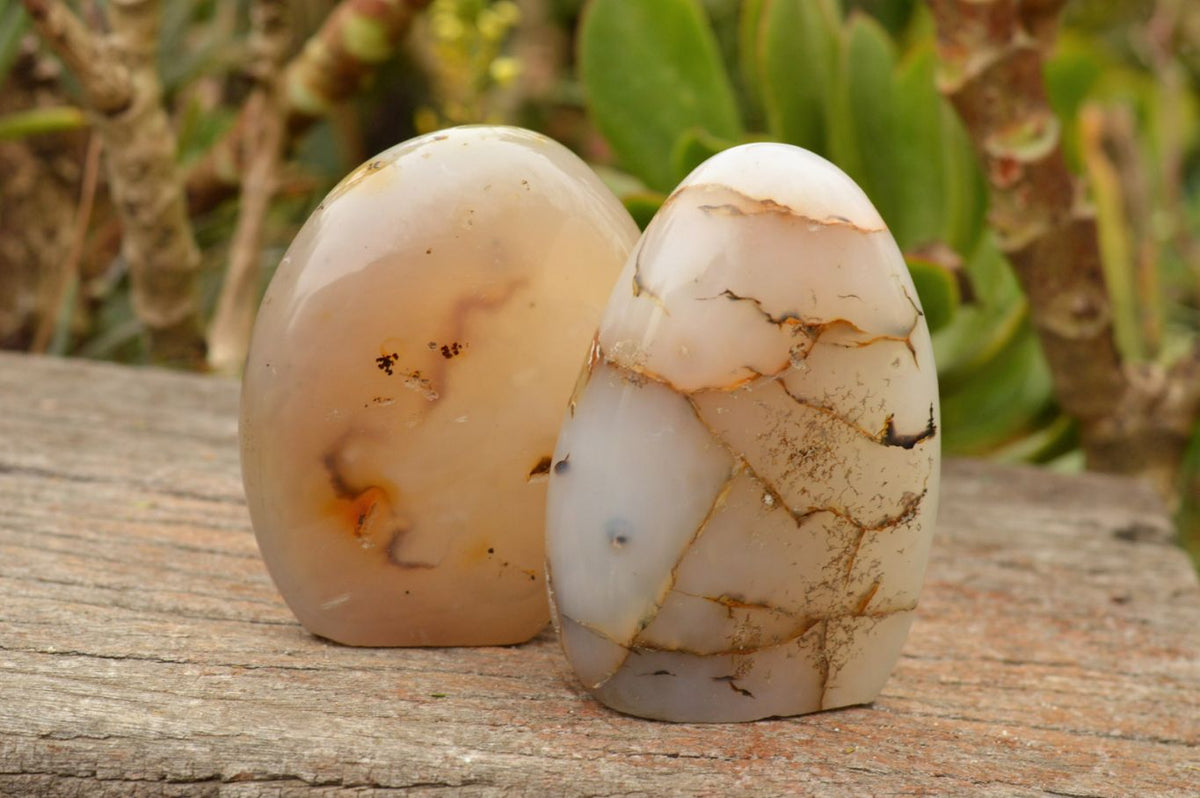 Polished Semi Translucent Dendritic Agate Standing Free Forms x 4 From Moralambo, Madagascar - TopRock
