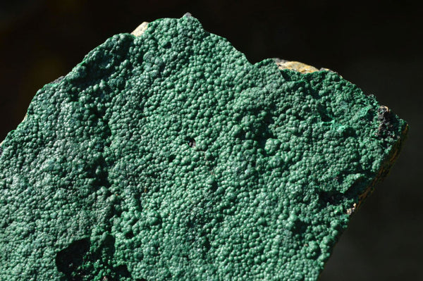 Natural Crystalline Malachite Specimens With Botryoidal Ball Formation on Matrix  x 3 From Tenke Fungumure, Congo - TopRock
