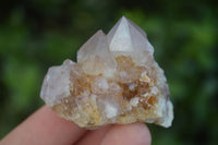 Natural Small Mixed Spirit Quartz Specimens  x 35 From Boekenhouthoek, South Africa - Toprock Gemstones and Minerals