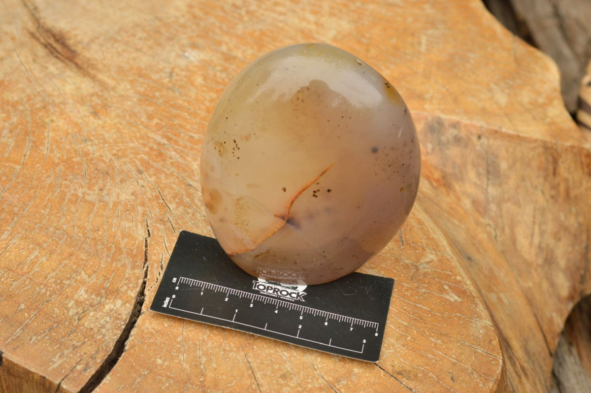 Polished Semi Translucent Dendritic Agate Standing Free Forms x 4 From Moralambo, Madagascar - TopRock