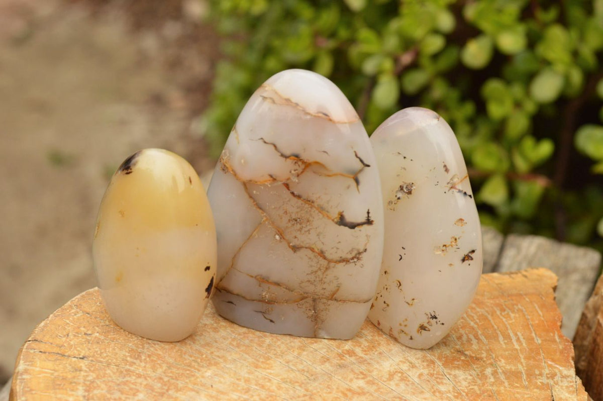 Polished Semi Translucent Dendritic Agate Standing Free Forms x 4 From Moralambo, Madagascar - TopRock