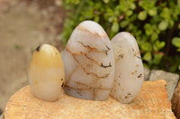 Polished Semi Translucent Dendritic Agate Standing Free Forms  x 4 From Moralambo, Madagascar - TopRock