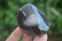 Polished Red River Agate Nodules  x 13 From Sashe River, Zimbabwe - Toprock Gemstones and Minerals