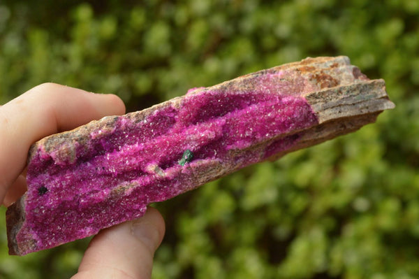 Natural Pink Salrose Cobaltion Dolomite Specimens x 6 From Kakanda, Congo - TopRock