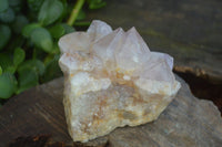 Natural Mixed Spirit Quartz Clusters  x 12 From Boekenhouthoek, South Africa - Toprock Gemstones and Minerals