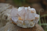 Natural Mixed Spirit Quartz Clusters  x 12 From Boekenhouthoek, South Africa - Toprock Gemstones and Minerals