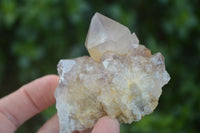 Natural Mixed Spirit Quartz Clusters  x 12 From Boekenhouthoek, South Africa - Toprock Gemstones and Minerals