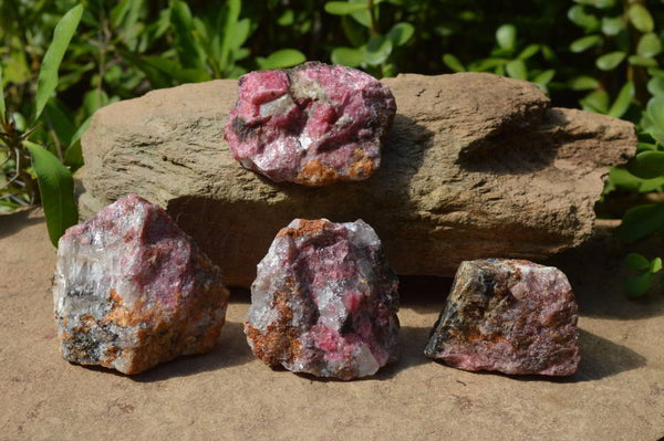 Natural Cobbed Rhodonite Pieces x 12 From Rushinga, Zimbabwe - TopRock