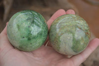 Polished  Green Chrysoprase Spheres  x 3 From Ambatondrazaka, Madagascar - Toprock Gemstones and Minerals