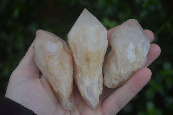 Natural Highly Selected Pineapple Candle Quartz Crystals  x 12 From Madagascar - Toprock Gemstones and Minerals 