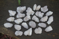 Natural Pale Lilac Spirit Quartz Crystals x 35 From Boekenhouthoek, South Africa - Toprock Gemstones and Minerals