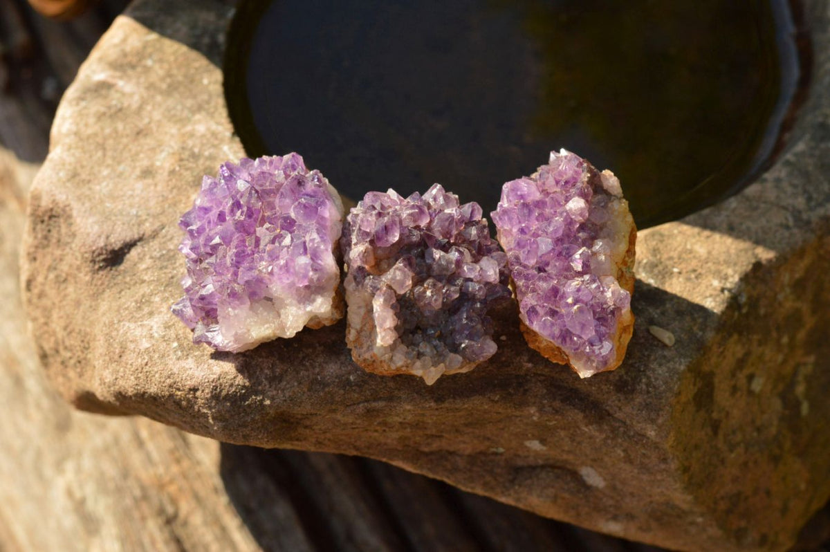 Natural Small Dark "Amethystos" Amethyst Clusters x 70 From Kwaggafontein, South Africa - TopRock