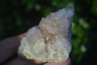 Natural Mixed Spirit Quartz Clusters  x 12 From Boekenhouthoek, South Africa - Toprock Gemstones and Minerals