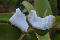 Natural Blue Lace Agate Geode Specimens x 6 From Nsanje, Malawi - Toprock Gemstones and Minerals