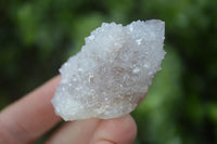 Natural Pale Lilac Spirit Quartz Crystals x 35 From Boekenhouthoek, South Africa - Toprock Gemstones and Minerals