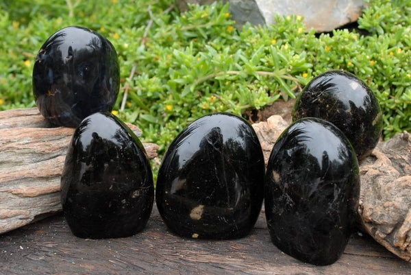Polished Black Tourmaline Standing Free Forms x 5 From Madagascar - TopRock