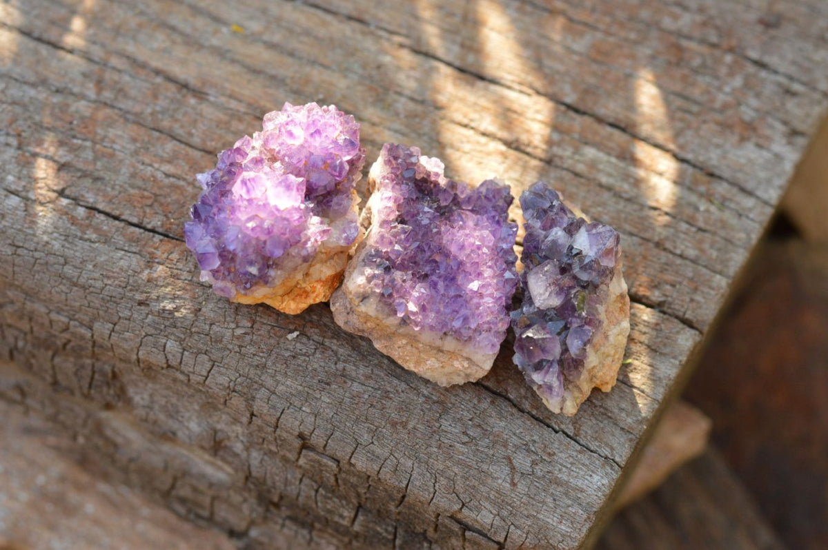 Natural Small Dark "Amethystos" Amethyst Clusters x 70 From Kwaggafontein, South Africa - TopRock