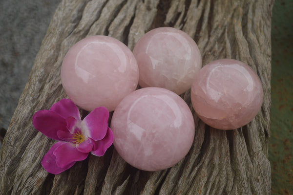 Polished Pink Rose Quartz Spheres  x 4 From Ambatondrazaka, Madagascar - TopRock