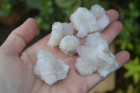 Natural Pale Lilac Spirit Quartz Crystals x 35 From Boekenhouthoek, South Africa - Toprock Gemstones and Minerals
