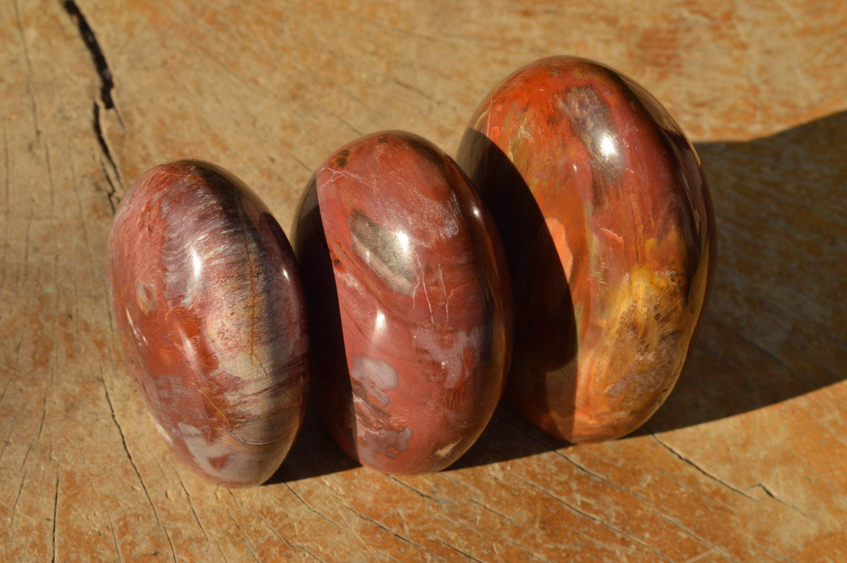 Polished Petrified Red Podocarpus Wood Standing Free Forms x 4 From Mahajanga, Madagascar - TopRock