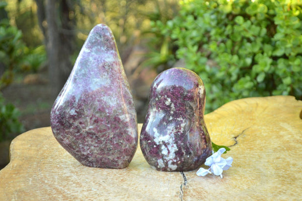 Polished Near Solid Pink Rubellite Tourmaline Standing Free Forms x 2 From Madagascar - TopRock
