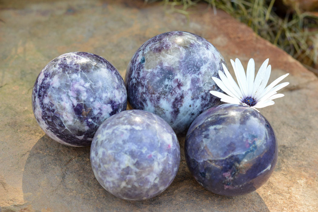 Polished Specular Purple Mica Lepidolite Spheres x 4 From Madagascar - TopRock