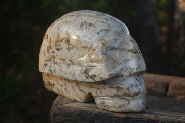 Polished Extra Large Tiger Quartz In Feldspar Skull Carving  x 1 From Madagascar - Toprock Gemstones and Minerals 