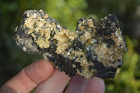 Natural Schorl Black Tourmaline Specimens x 6 From Erongo, Namibia - Toprock Gemstones and Minerals
