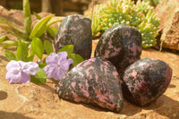 Polished Pink Rhodonite Free Forms  x 4 From Madagascar - TopRock