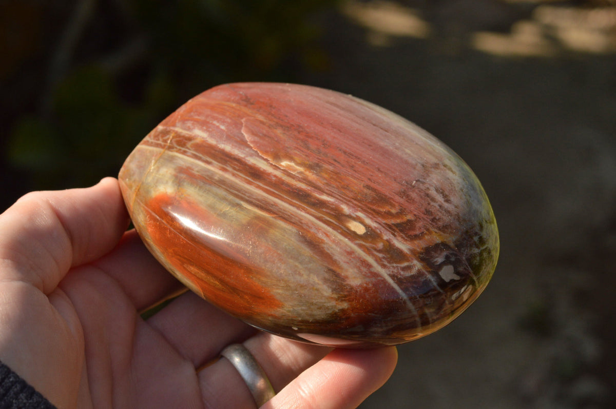 Polished Petrified Red Podocarpus Wood Standing Free Forms x 4 From Mahajanga, Madagascar - TopRock