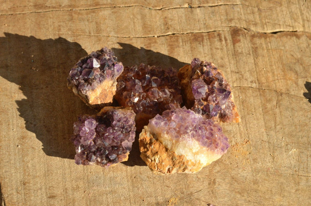 Natural Small Dark "Amethystos" Amethyst Clusters x 70 From Kwaggafontein, South Africa - TopRock